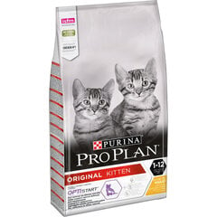 Purina Pro Plan Junior kačiukams su vištiena, 10 kg kaina ir informacija | Sausas maistas katėms | pigu.lt