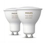 Lemputė Philips Hue White ir Color Ambiance, 2 vnt цена и информация | Elektros lemputės | pigu.lt