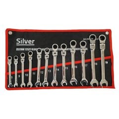 Kombinuotų raktų rinkinys su terkšle Silver, 1 vnt. kaina ir informacija | Mechaniniai įrankiai | pigu.lt