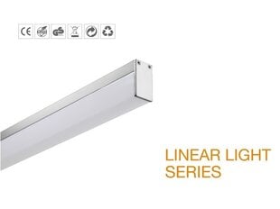 LED lubinis šviestuvas G.LUX GR-LED11-15,5W LINE kaina ir informacija | Lubiniai šviestuvai | pigu.lt