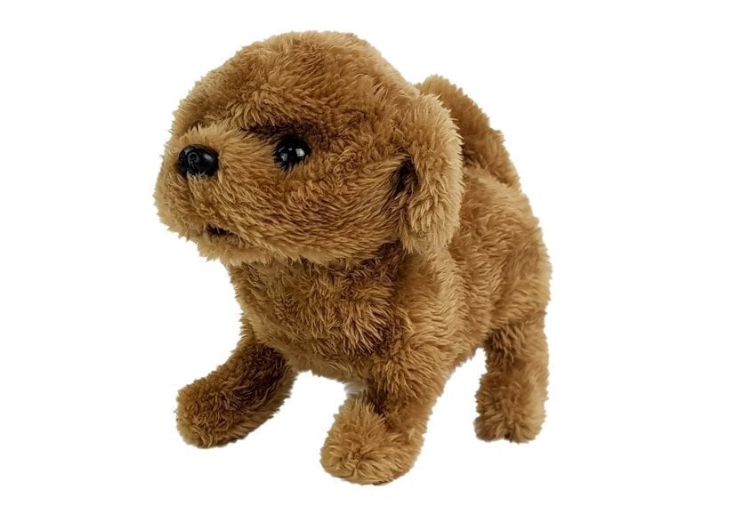 Interaktyvus vaikštantis šuniukas, rudas kaina ir informacija | Minkšti (pliušiniai) žaislai | pigu.lt