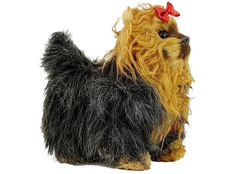 Interaktyvus šuniukas Jorkšyro terjeras kaina ir informacija | Minkšti (pliušiniai) žaislai | pigu.lt