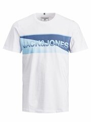 Мужская футболка Jack & Jones цена и информация | Футболка мужская | pigu.lt