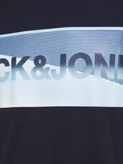 Marškinėliai vyrams Jack & Jones kaina ir informacija | Vyriški marškinėliai | pigu.lt