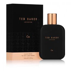 Tualetinis vanduo Ted Baker Cu EDT vyrams, 100 ml цена и информация | Мужские духи | pigu.lt