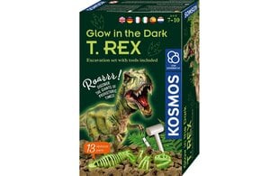 Kūrybinis rinkinys Glow in the dark T.Rex, 7 m.+ kaina ir informacija | Lavinamieji žaislai | pigu.lt