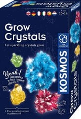 Креативный набор Grow Crystal, 10 лет+ цена и информация | Развивающие игрушки | pigu.lt