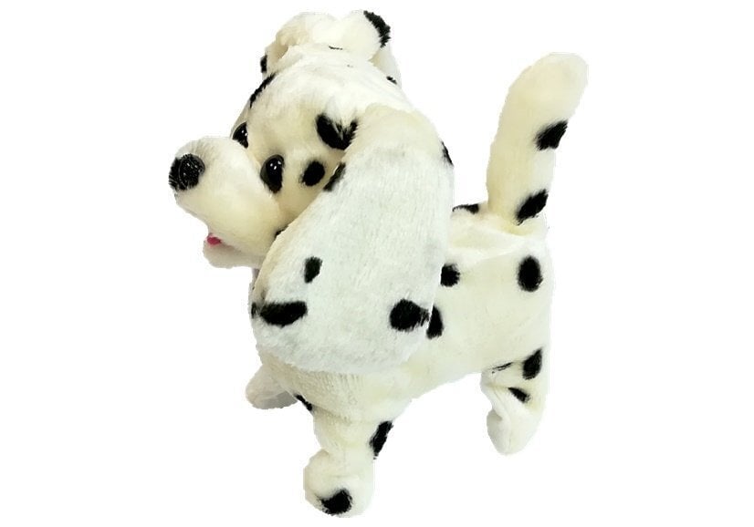 Interaktyvus šuniukas dalmantinas su pavadėliu kaina ir informacija | Minkšti (pliušiniai) žaislai | pigu.lt