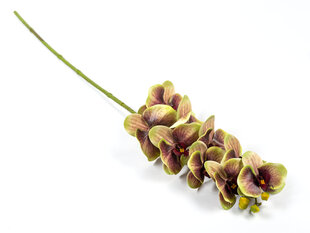 Dirbtinė gėlė, Orchidėjos šaka, geltona kaina ir informacija | Dirbtinės gėlės | pigu.lt