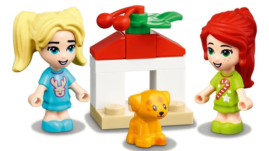 41690 LEGO® Friends advento kalendorius kaina ir informacija | Žaislai berniukams | pigu.lt