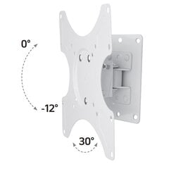 Techly 023875 19-37” kaina ir informacija | Techly Buitinė technika ir elektronika | pigu.lt