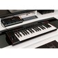 MIDI klaviatūra iRig Keys 2 kaina ir informacija | Priedai muzikos instrumentams | pigu.lt