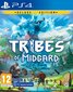 PS4 Tribes of Midgard: Deluxe Edition kaina ir informacija | Kompiuteriniai žaidimai | pigu.lt