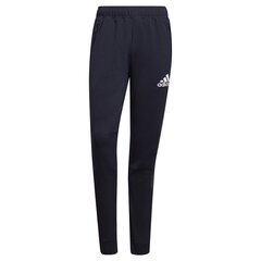 Штаны спортивные мужские adidas Designed To Move Sport Motion Logo GV53014064054408065, черные цена и информация | Мужская спортивная одежда | pigu.lt