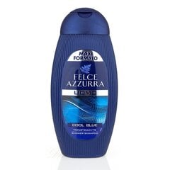 Гель для душа и шампунь для мужчин Felce Azzurra Cool Blue, 250 мл цена и информация | Масла, гели для душа | pigu.lt
