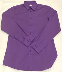 Рубашка с длинным рукавом для мальчиков Weise цена и информация | Рубашки для мальчиков | pigu.lt