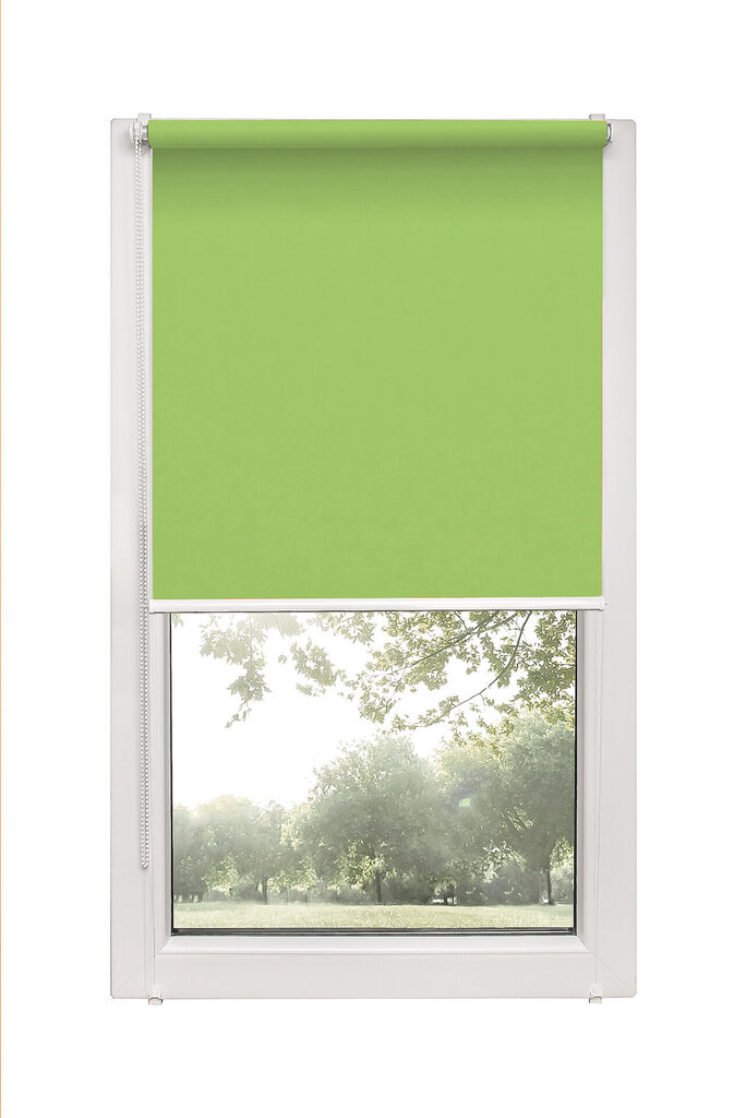 Roletas Mini Decor D 11 Žalia, 47x150 cm kaina ir informacija | Roletai | pigu.lt