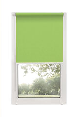 Ролет Mini Decor D 11 Зеленый, 53x150 см цена и информация | Рулонные шторы | pigu.lt