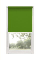 Ролет Mini Decor D 13 Зеленый, 43x150 см цена и информация | Рулонные шторы | pigu.lt