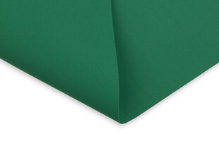Roletas Mini Decor D 13 Žalia, 47x150 cm kaina ir informacija | Roletai | pigu.lt