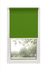 Ролет Mini Decor D 13 Зеленый, 70x150 см цена и информация | Рулонные шторы | pigu.lt