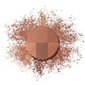 Bronzantas Bourjois Always Fabulous Bronzing 002 Dark, 9g kaina ir informacija | Bronzantai, skaistalai | pigu.lt