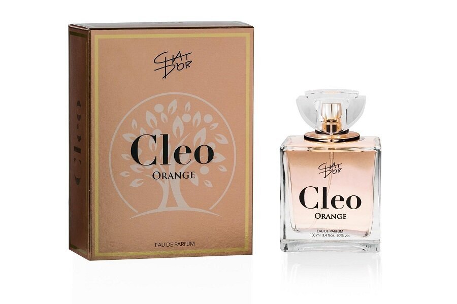 Kvapusis vanduo moterims Chat D'or Cleo Orange EDP, 100 ml kaina ir informacija | Kvepalai moterims | pigu.lt