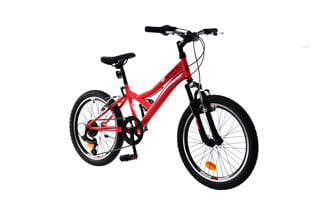 Vaikų dviratis N1 Junior 1.0 20", raudonas kaina ir informacija | Dviračiai | pigu.lt