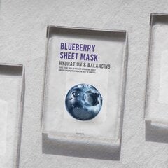 Увлажняющая листовая маска с ягодами Eunyul Blueberry, 22 мл цена и информация | Маски для лица, патчи для глаз | pigu.lt