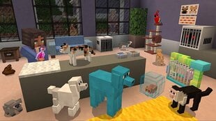 Minecraft: Starter Pack, PS4 kaina ir informacija | Mojang Kompiuterinė technika | pigu.lt