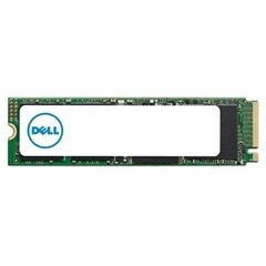 Dell AB292883, 512GB kaina ir informacija | Vidiniai kietieji diskai (HDD, SSD, Hybrid) | pigu.lt
