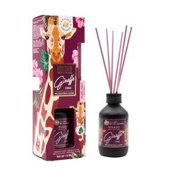 Namų kvapas su lazdelėmis La casa de los aromas Safari Giraffe Chic, 100ml kaina ir informacija | Namų kvapai | pigu.lt