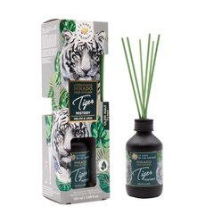 Namų kvapas su lazdelėmis La casa de los aromas Tiger Mister, 100 ml kaina ir informacija | Namų kvapai | pigu.lt