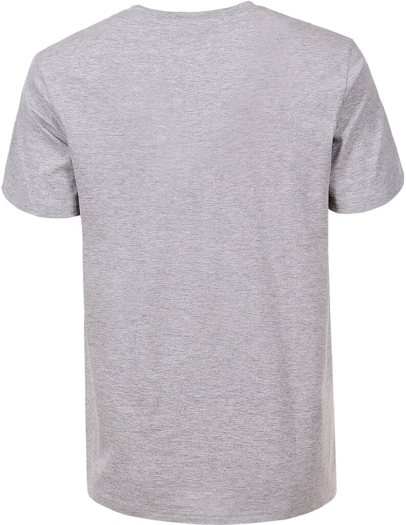 Marškinėliai vyrams Glo Story Grey MPO D0114, pilki kaina ir informacija | Vyriški marškinėliai | pigu.lt