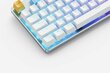 Glorious PC Gaming Race GMMK TKL White Ice Edition Gateron Brown цена и информация | Klaviatūros | pigu.lt