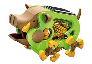 Saulės robotas "Wild boar" kaina ir informacija | Lavinamieji žaislai | pigu.lt