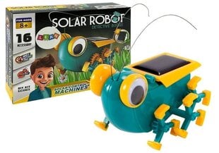 Saulės robotas "Detective Bugsee" kaina ir informacija | Lavinamieji žaislai | pigu.lt
