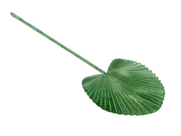 Palmės lapas, žalias цена и информация | Dirbtinės gėlės | pigu.lt