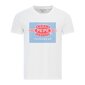 Marškinėliai vyrams Pepe Jeans Anniv 7 цена и информация | Vyriški marškiniai | pigu.lt