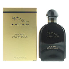 Jaguar For Men Gold in Black EDT для мужчин 100 мл цена и информация | Мужские духи | pigu.lt