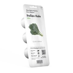 Click & Grow Smart Refill Тосканская капуста кале 3 шт. цена и информация | Проращиватели, лампы для растений | pigu.lt