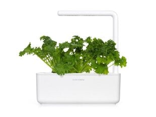 Click & Grow Smart Refill Горчица Wasabi 3 шт. цена и информация | Проращиватели, лампы для растений | pigu.lt