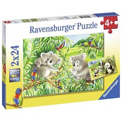 Пазл Ravensburger 2х24 шт Коалы и панды цена и информация | Пазлы | pigu.lt