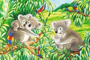 Dėlionės Ravensburger Cute Koalas and Pandas, 2x24 d. kaina ir informacija | Dėlionės (puzzle) | pigu.lt