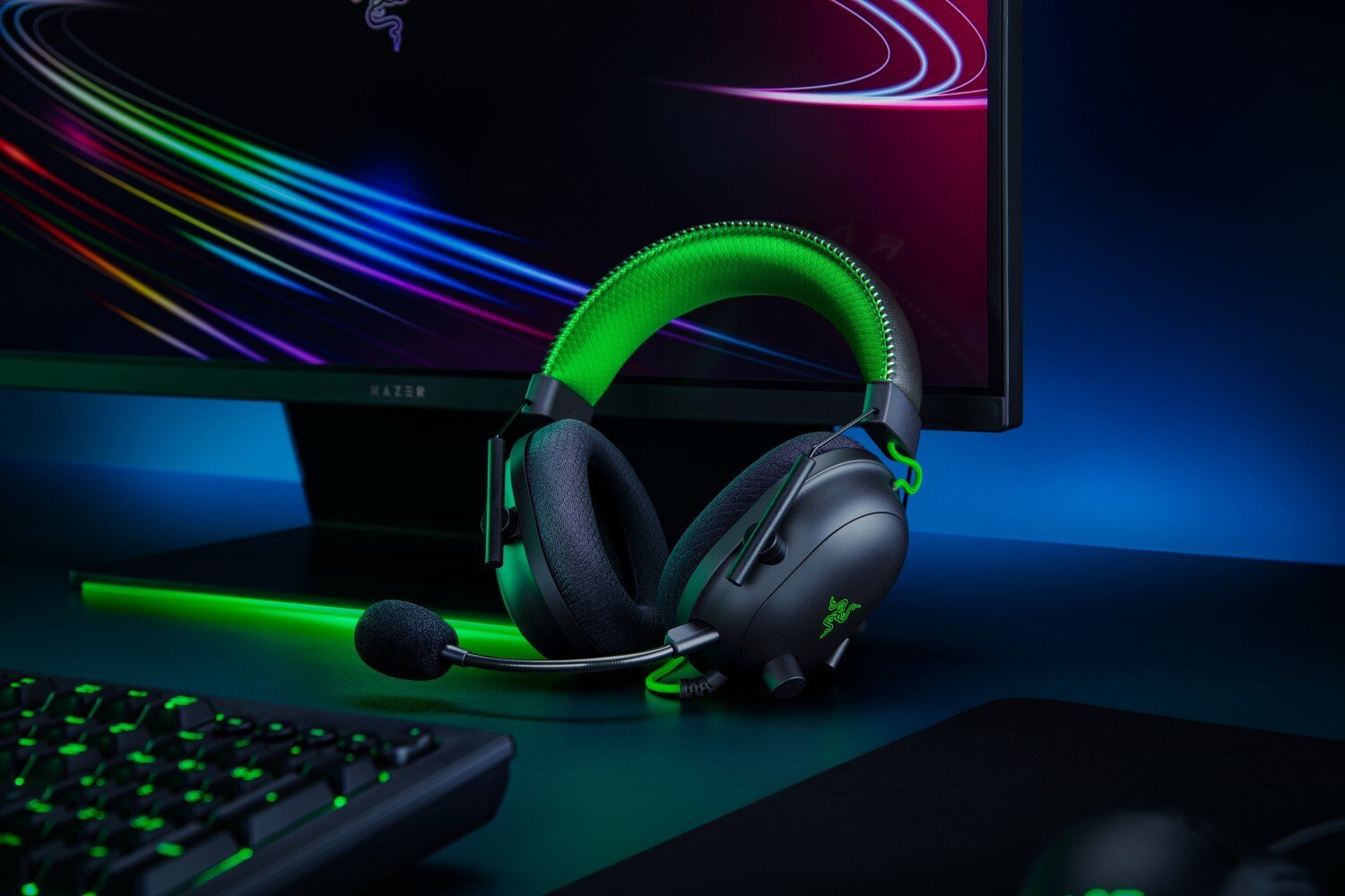 Razer Blackhark V2 Special Edition kaina ir informacija | Ausinės | pigu.lt