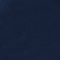 Kontinentinė lova Black White Lova Dave, mėlyna kaina ir informacija | Lovos | pigu.lt