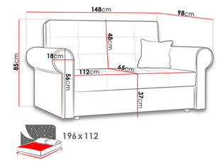Sofa - lova VIVA SILVER II kaina ir informacija | Sofos | pigu.lt