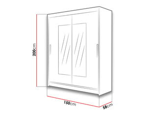 Шкаф с раздвижными дверями WESTA / PRESTO III цена и информация | Шкафы | pigu.lt