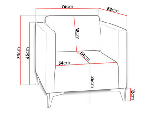 Кресло SAFIR цена и информация | Кресла в гостиную | pigu.lt