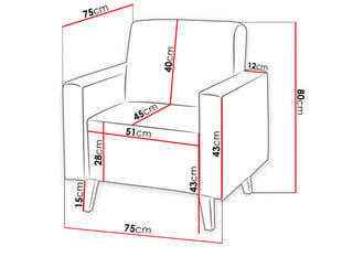 Кресло OVIEDO цена и информация | Кресла в гостиную | pigu.lt